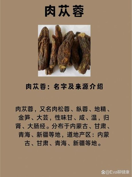 肉苁蓉多少钱一斤，肉苁蓉多少钱一斤？肉苁蓉市场价格一览表