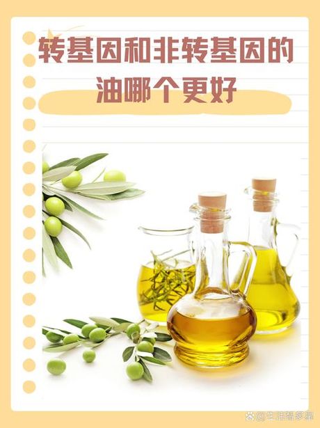 黄花草油酸，黄花草油酸——带你了解这款神奇的脂肪酸