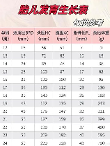 胎儿体重计算公式，来了解一下胎儿体重计算公式吧！