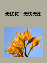 无忧花，无忧花，让生命之花无惧变迁